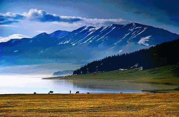 4月的新疆你一定不要错过！